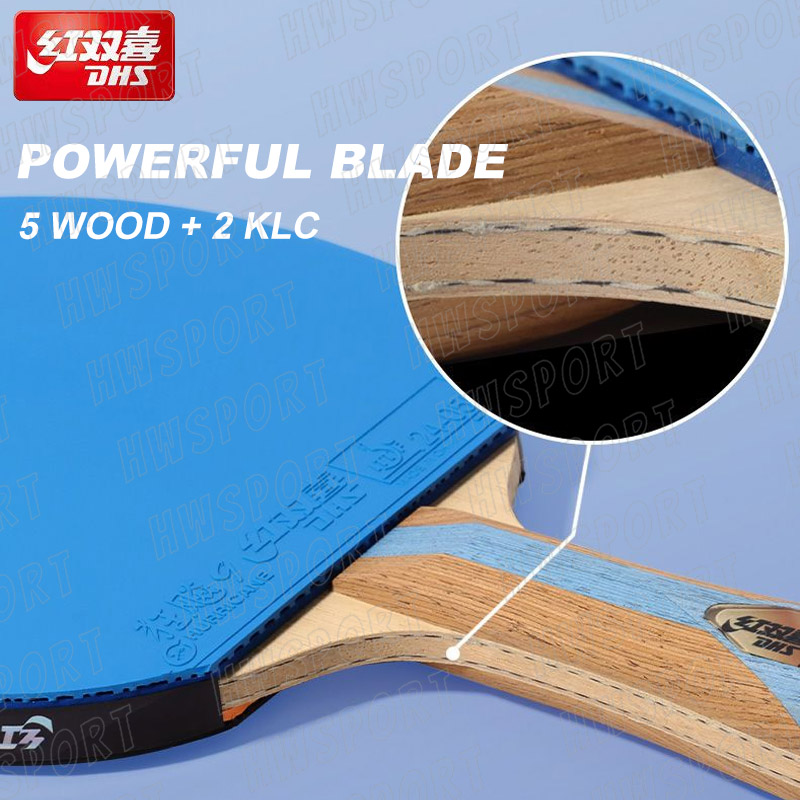 DHS-raqueta de tenis de mesa d - Table Tennis Backhand reseña y precio