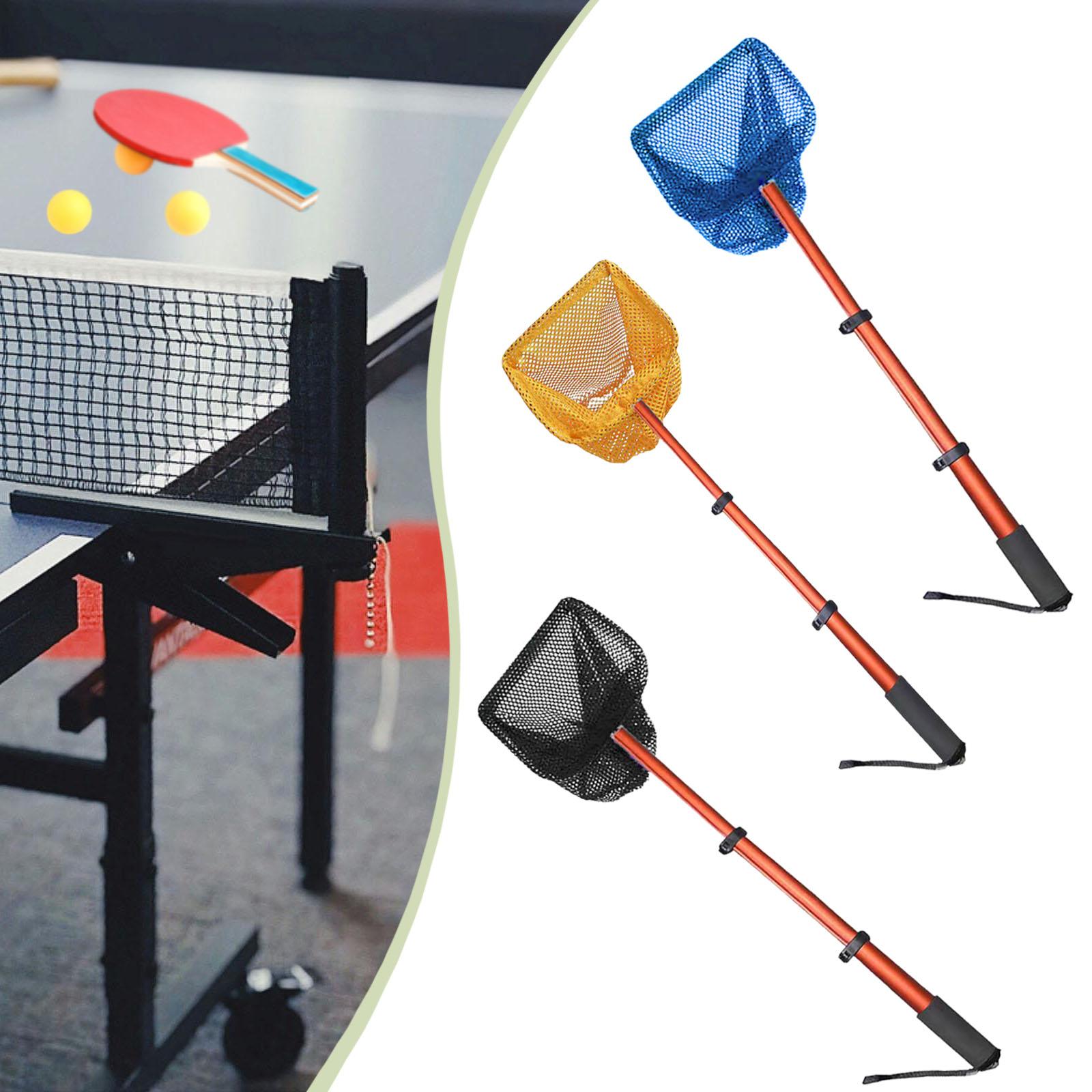 Recogedor de Pelotas de Ping P - Table Tennis Video Game reseña y precio