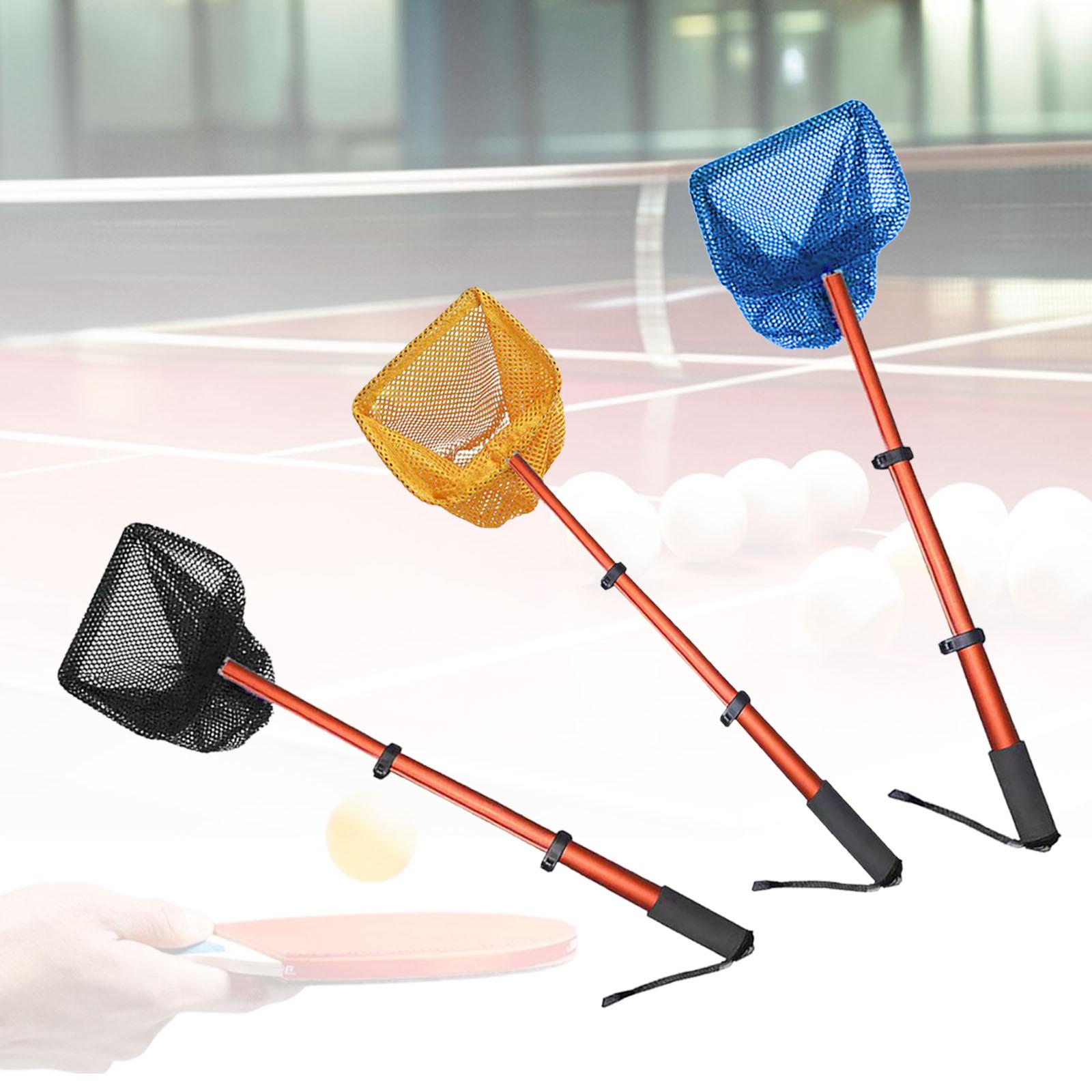 Recogedor de Pelotas de Ping P - Table Tennis Video Game reseña y precio